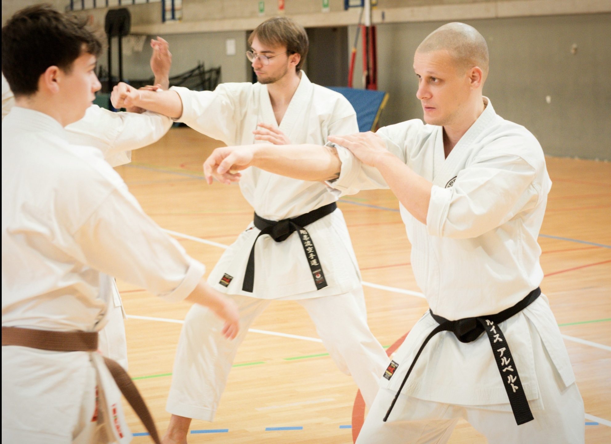 Adulto aplicando bunkai en clase de karate tradicional